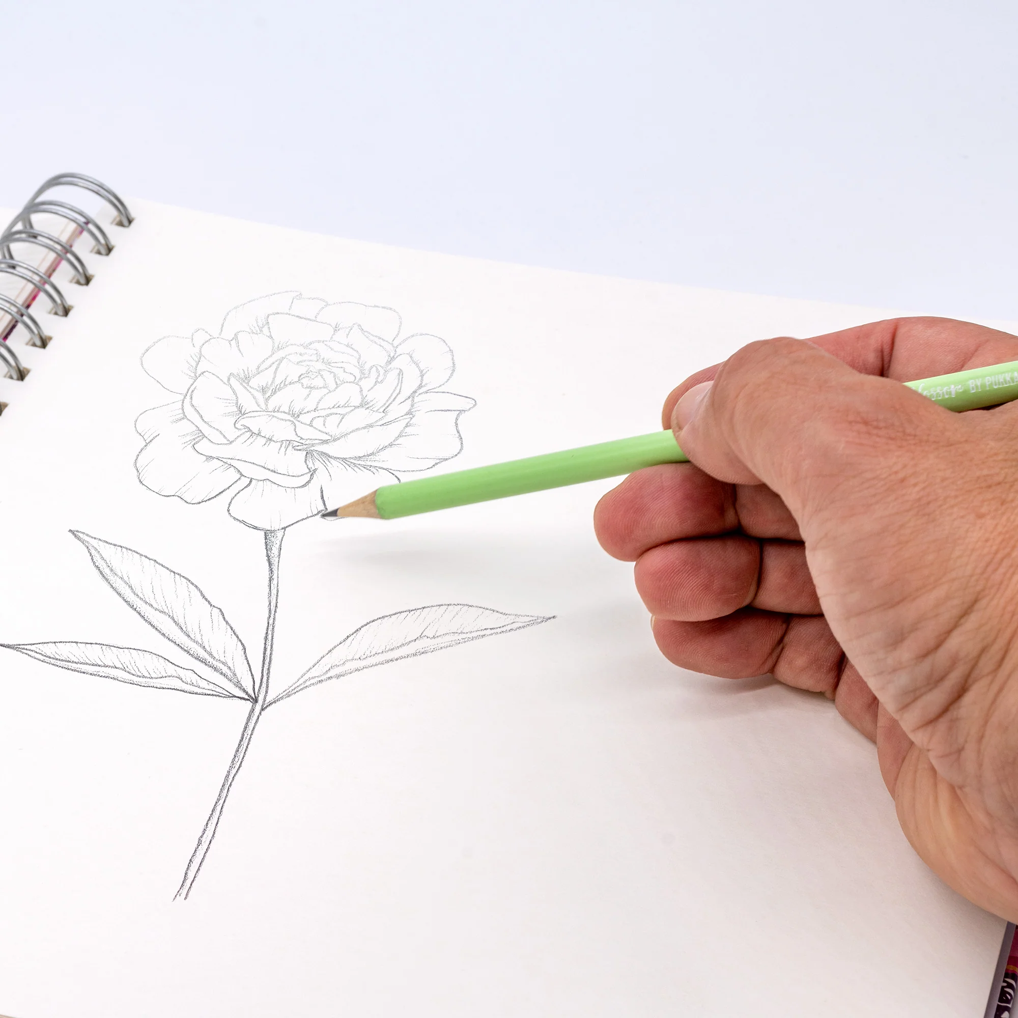 Blossom Pencil Set - 12 pencils per pack - Image 4