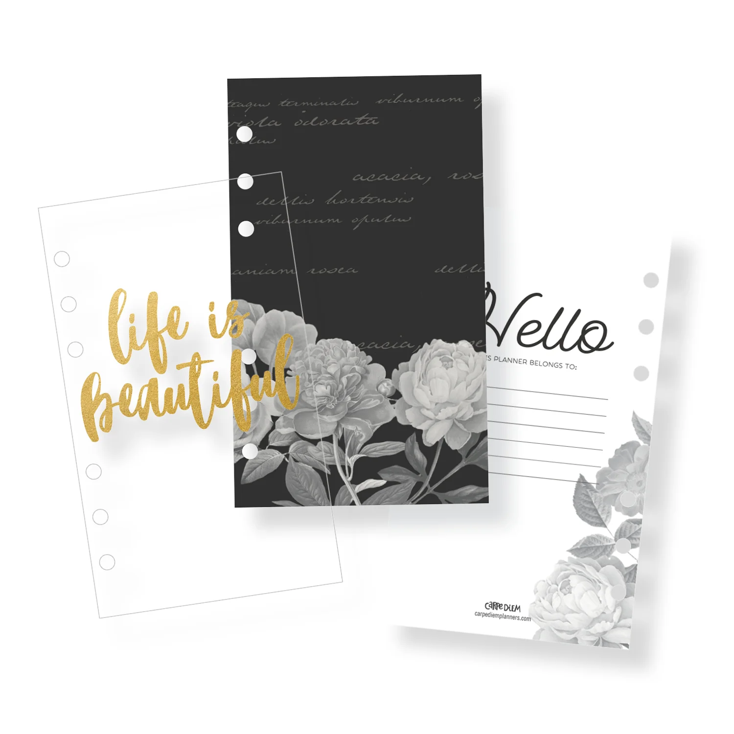 Personal Planner Beautiful Monthly Inserts - Image 4