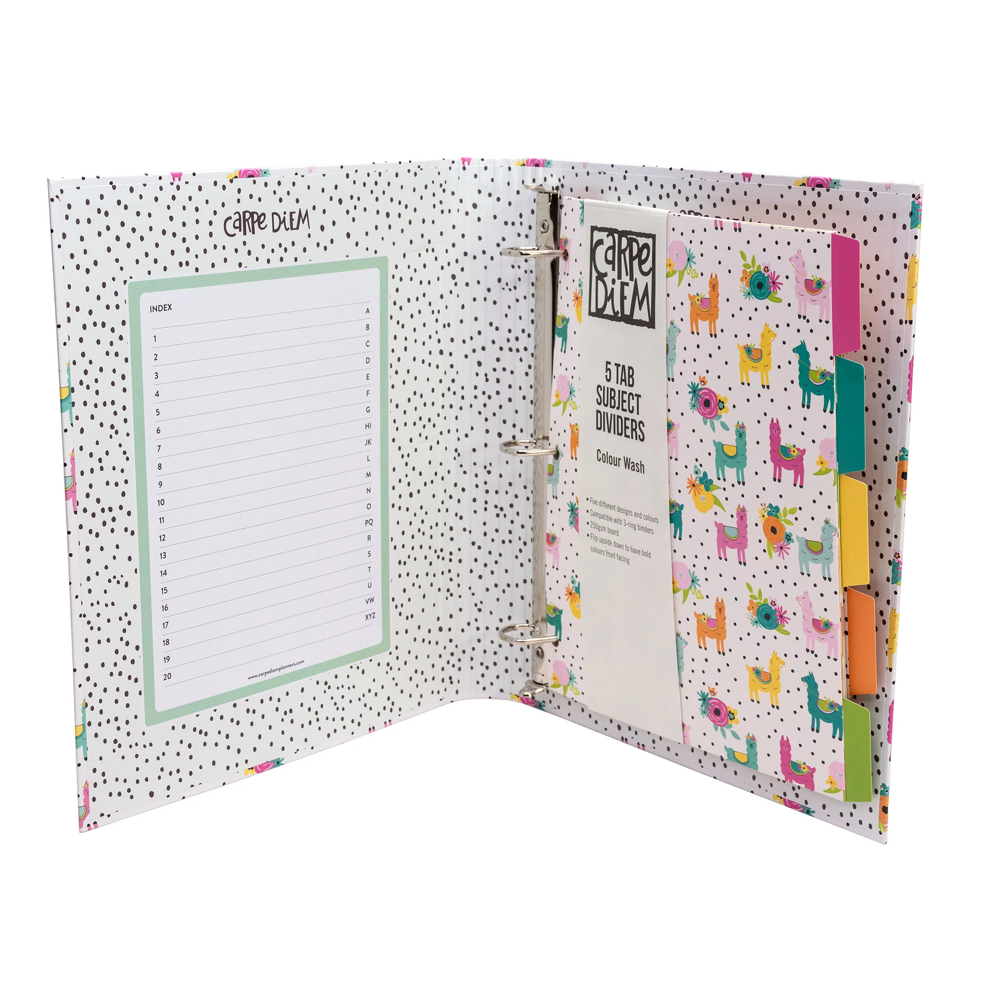 Carpe Diem Preloaded Rollbound Llama Binder - Image 3