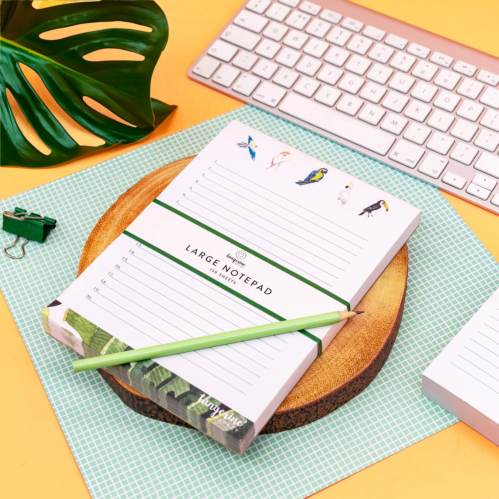 Carpe Diem x La Papelaria, Large Notepad in Birds - Image 4