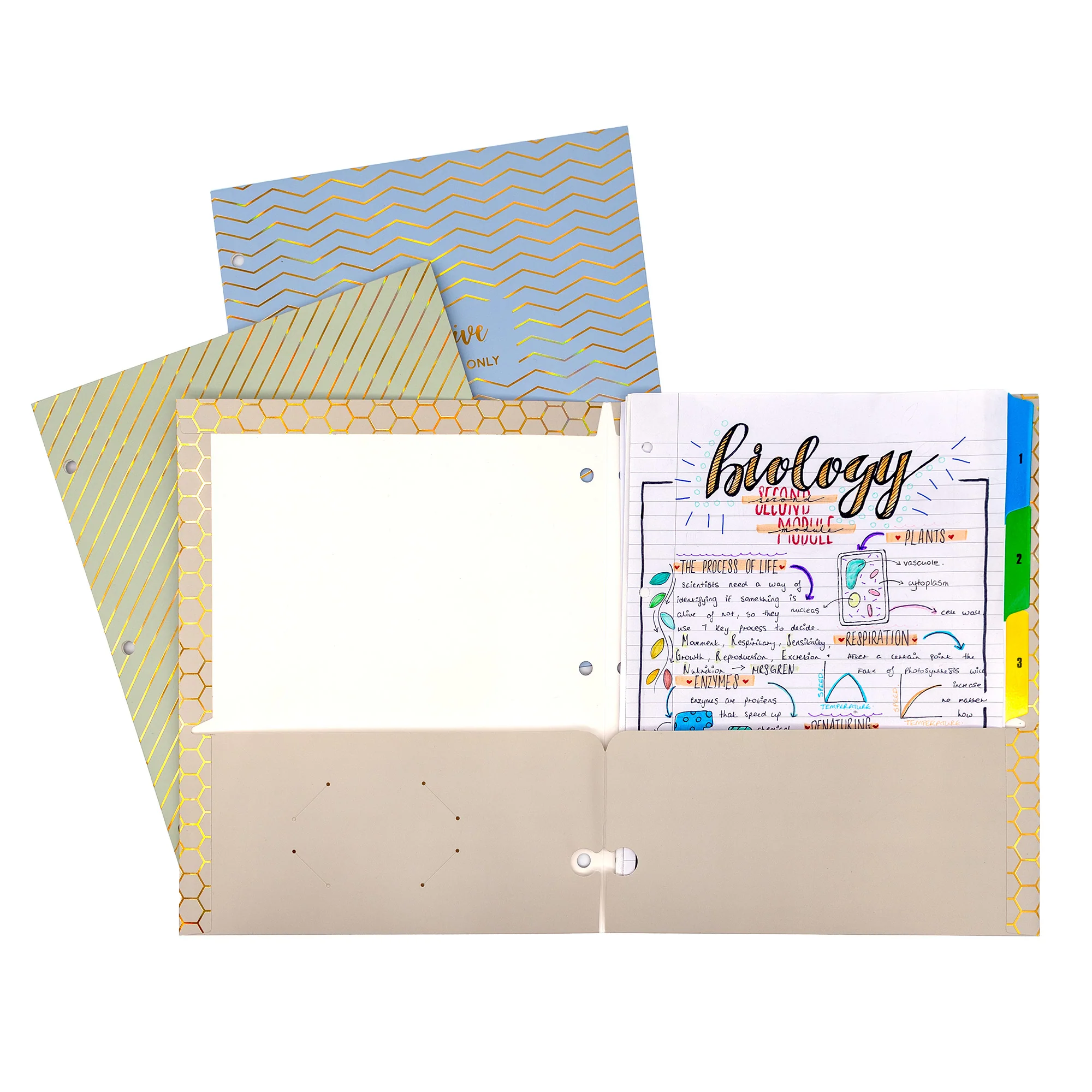 Haze 2-pocket Portfolio - Assorted Pack of 6 - Image 7