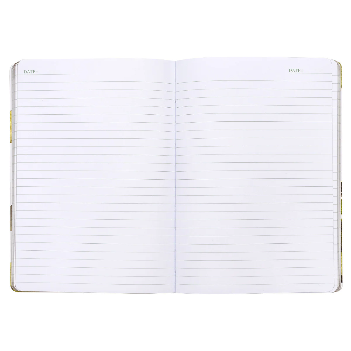 Carpe Diem x La Papelaria, Soft Cover Journal in Tropical with Gold Foil Edges - Image 4
