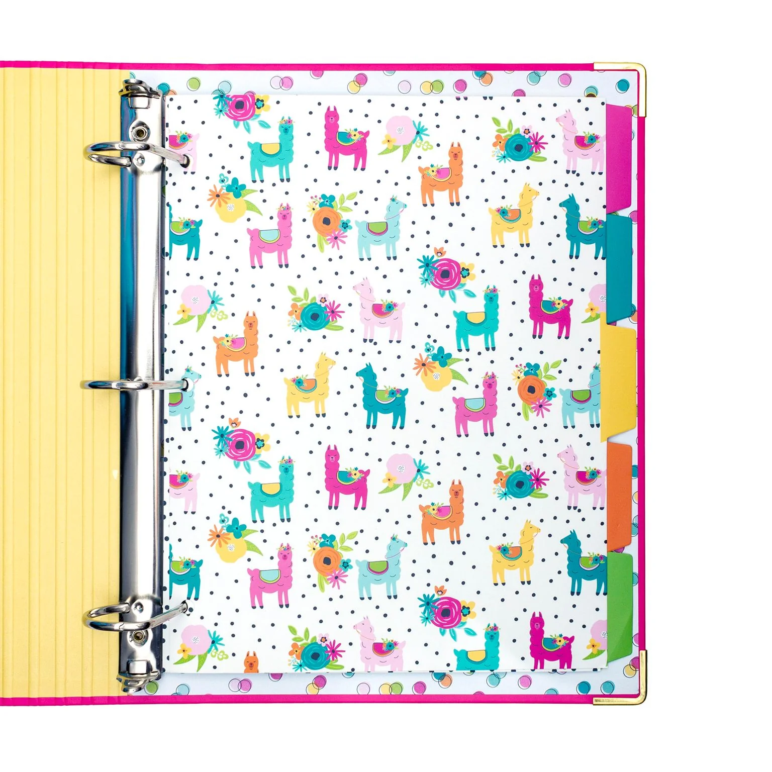 Color Wash 5-Subject Reversible Dividers - Image 3