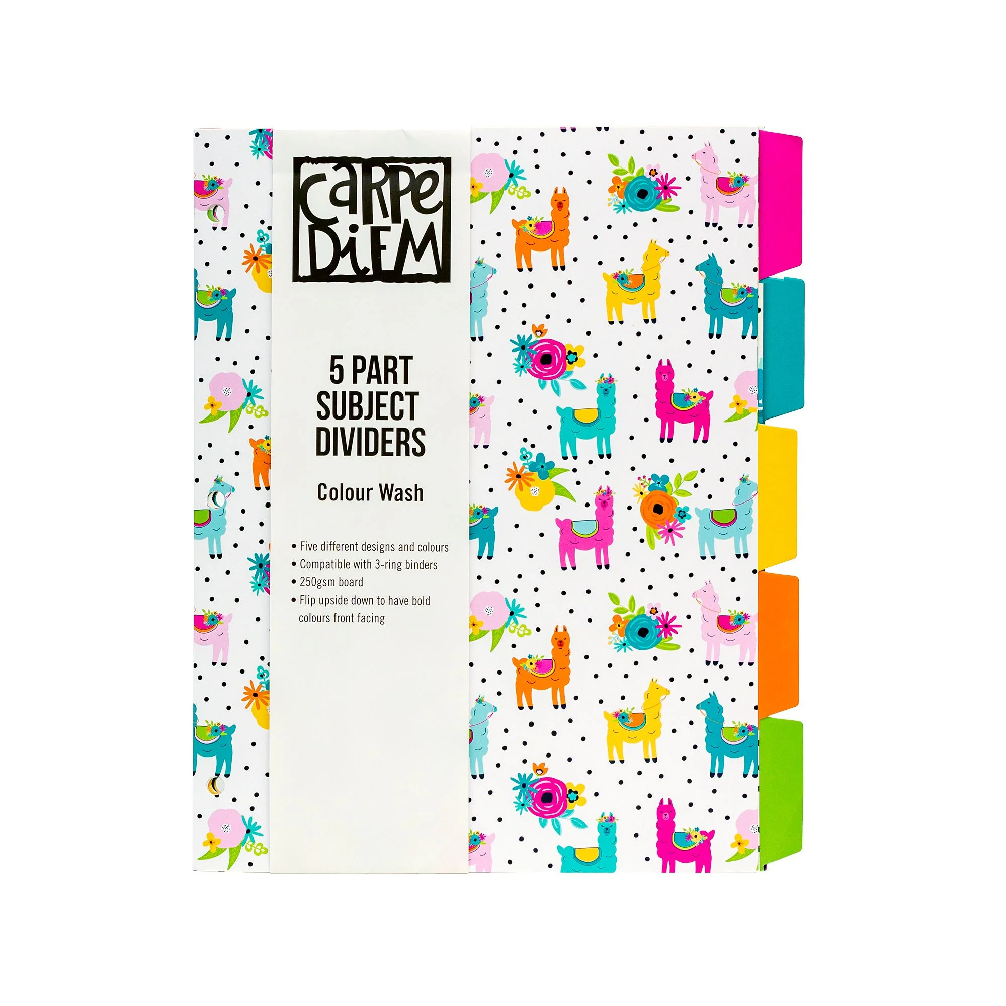 Color Wash 5-Subject Reversible Dividers - Image 4